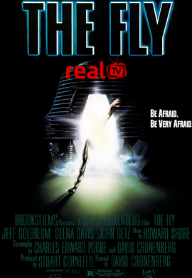 The Fly